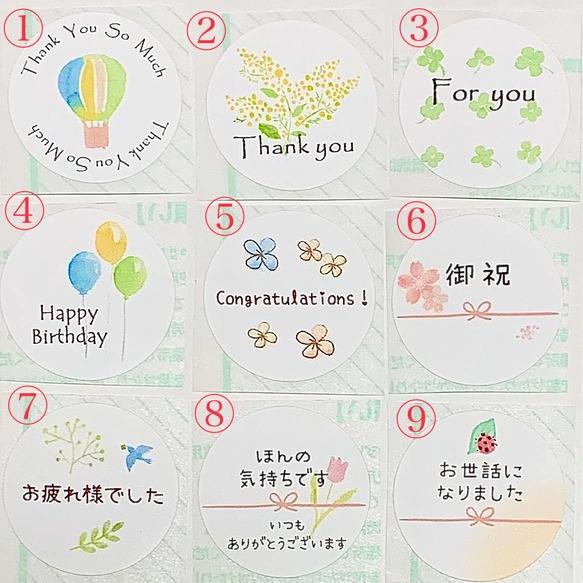 *世界最小のバラ*リトルウッズのハーバリウムボールペン | 7枚目